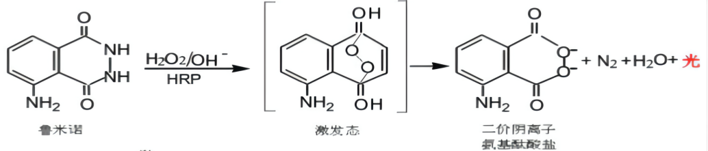 魯米諾發(fā)光原理 魯米諾發(fā)光原理
